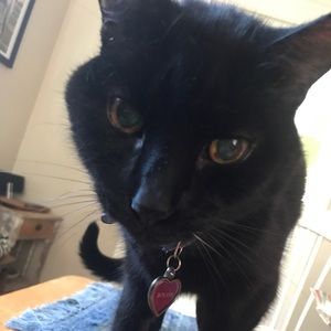 Meet your Posher, Clair